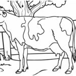 Raskrasil.com-Coloring-Pages-Cow-9