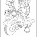 Raskrasil.com-Coloring-Pages-Crash-Bandicoot-13