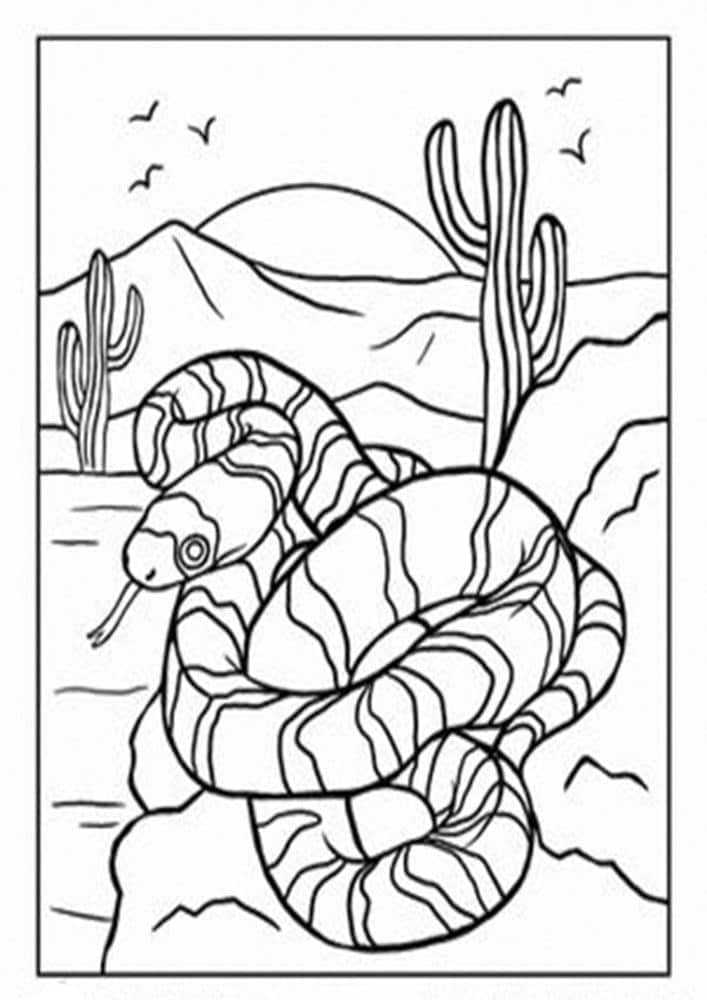 Raskrasil.com-Coloring-Pages-Desert-101