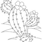 Raskrasil.com-Coloring-Pages-Desert-105