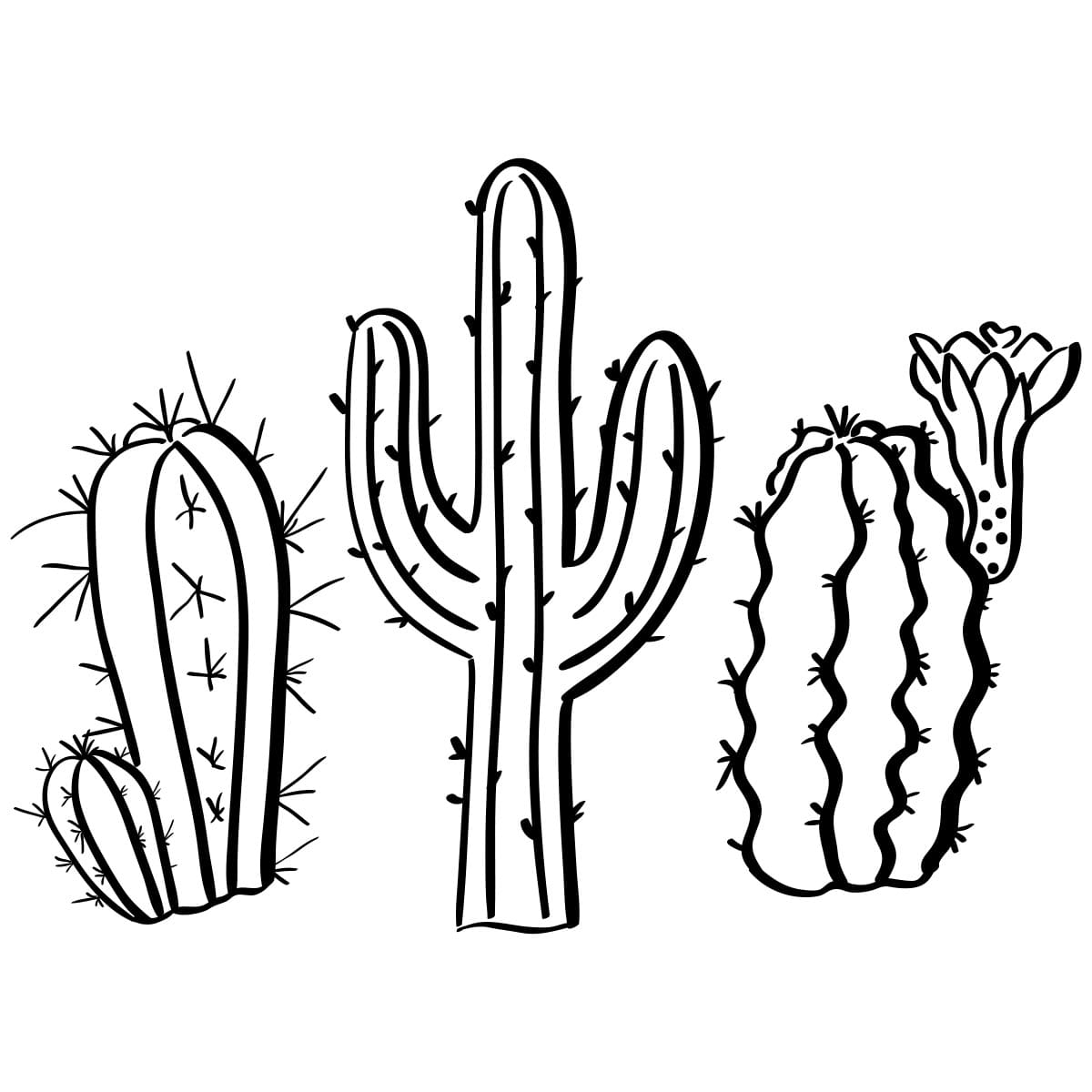 Raskrasil.com-Coloring-Pages-Desert-106