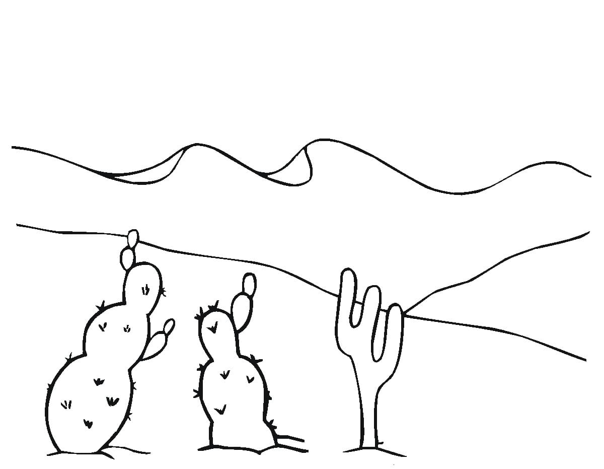 Raskrasil.com-Coloring-Pages-Desert-109