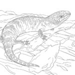 Raskrasil.com-Coloring-Pages-Desert-113