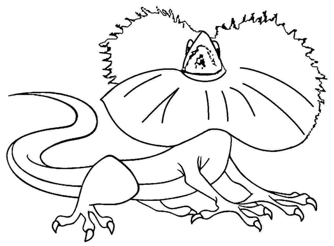 Raskrasil.com-Coloring-Pages-Desert-122