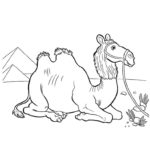 Raskrasil.com-Coloring-Pages-Desert-15