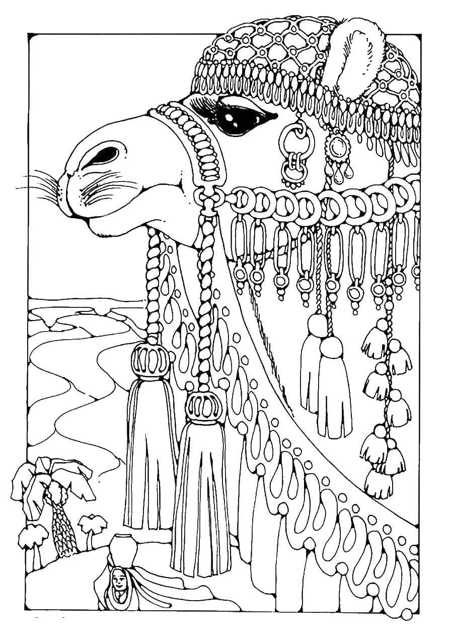 Raskrasil.com-Coloring-Pages-Desert-16