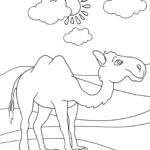 Raskrasil.com-Coloring-Pages-Desert-2
