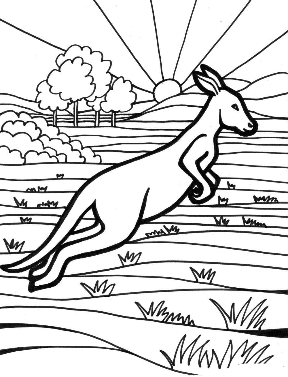 Raskrasil.com-Coloring-Pages-Desert-21