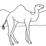 Raskrasil.com-Coloring-Pages-Desert-3