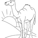 Raskrasil.com-Coloring-Pages-Desert-34