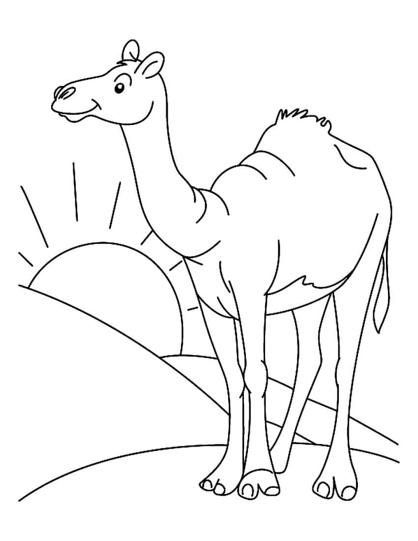 Raskrasil.com-Coloring-Pages-Desert-34