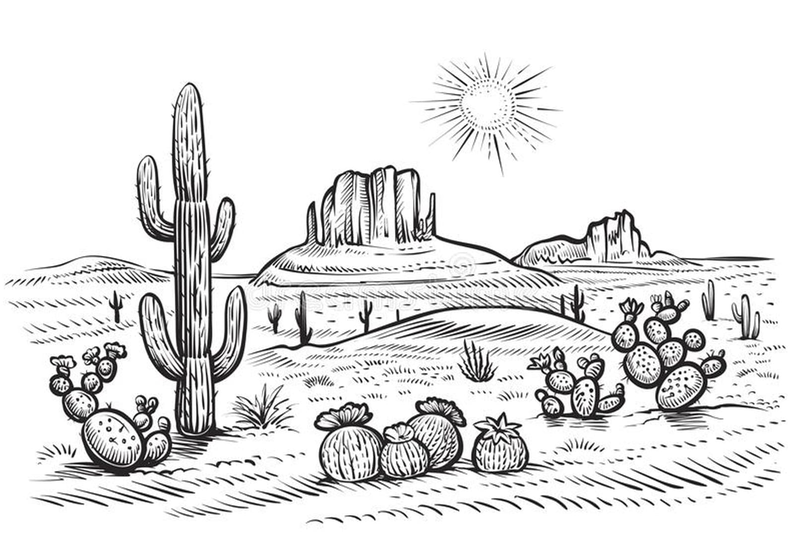 Raskrasil.com-Coloring-Pages-Desert-35