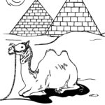 Raskrasil.com-Coloring-Pages-Desert-41