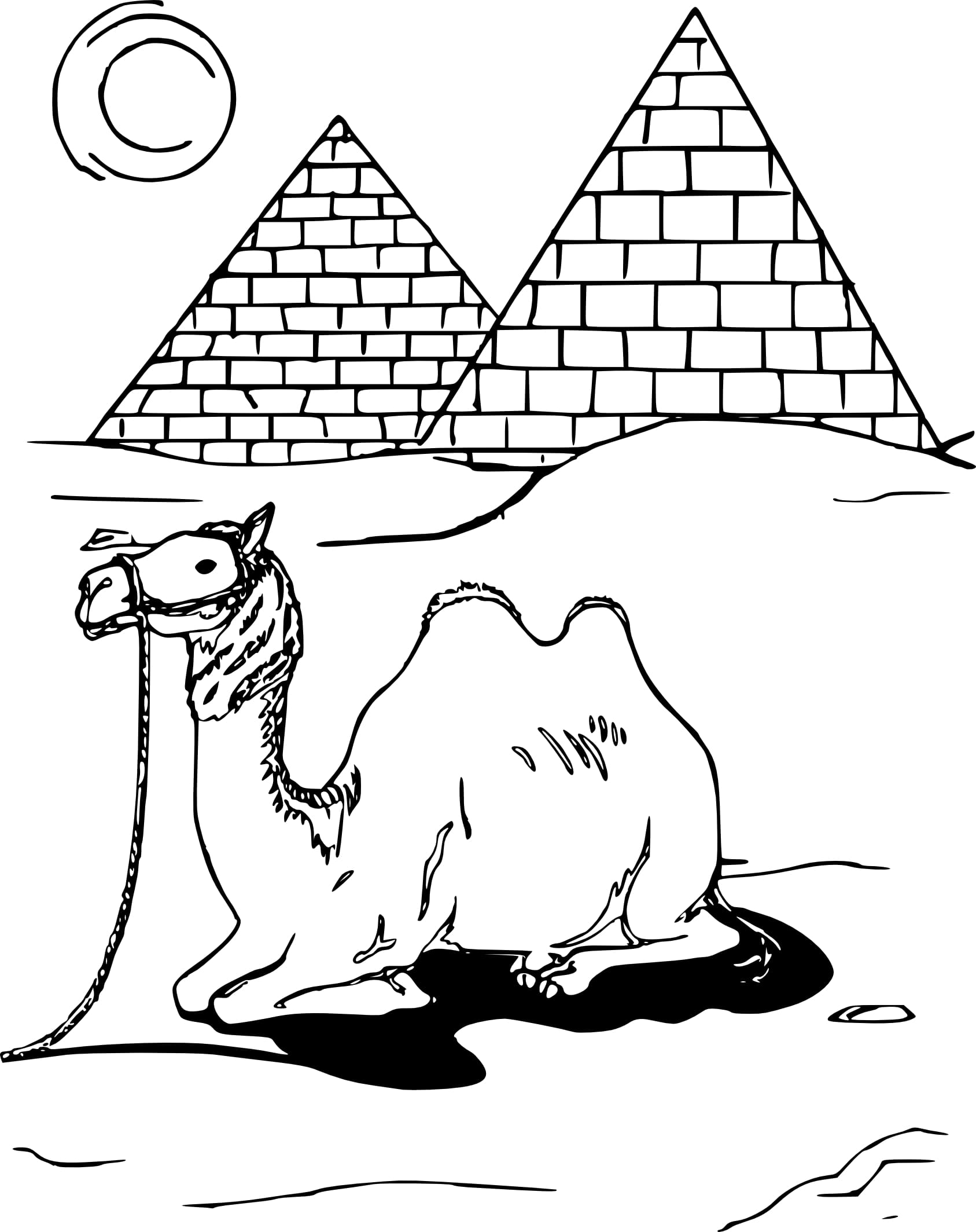 Raskrasil.com-Coloring-Pages-Desert-41