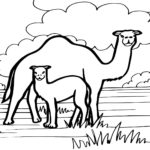 Raskrasil.com-Coloring-Pages-Desert-5