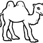 Raskrasil.com-Coloring-Pages-Desert-50