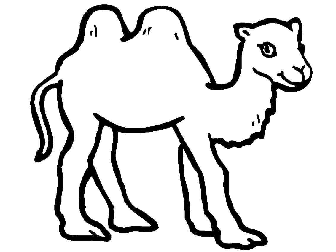 Raskrasil.com-Coloring-Pages-Desert-50