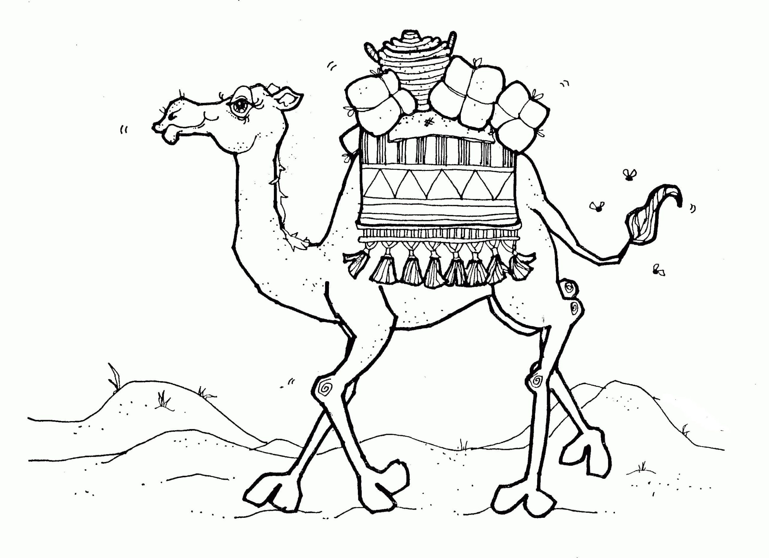 Raskrasil.com-Coloring-Pages-Desert-52