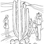 Raskrasil.com-Coloring-Pages-Desert-57
