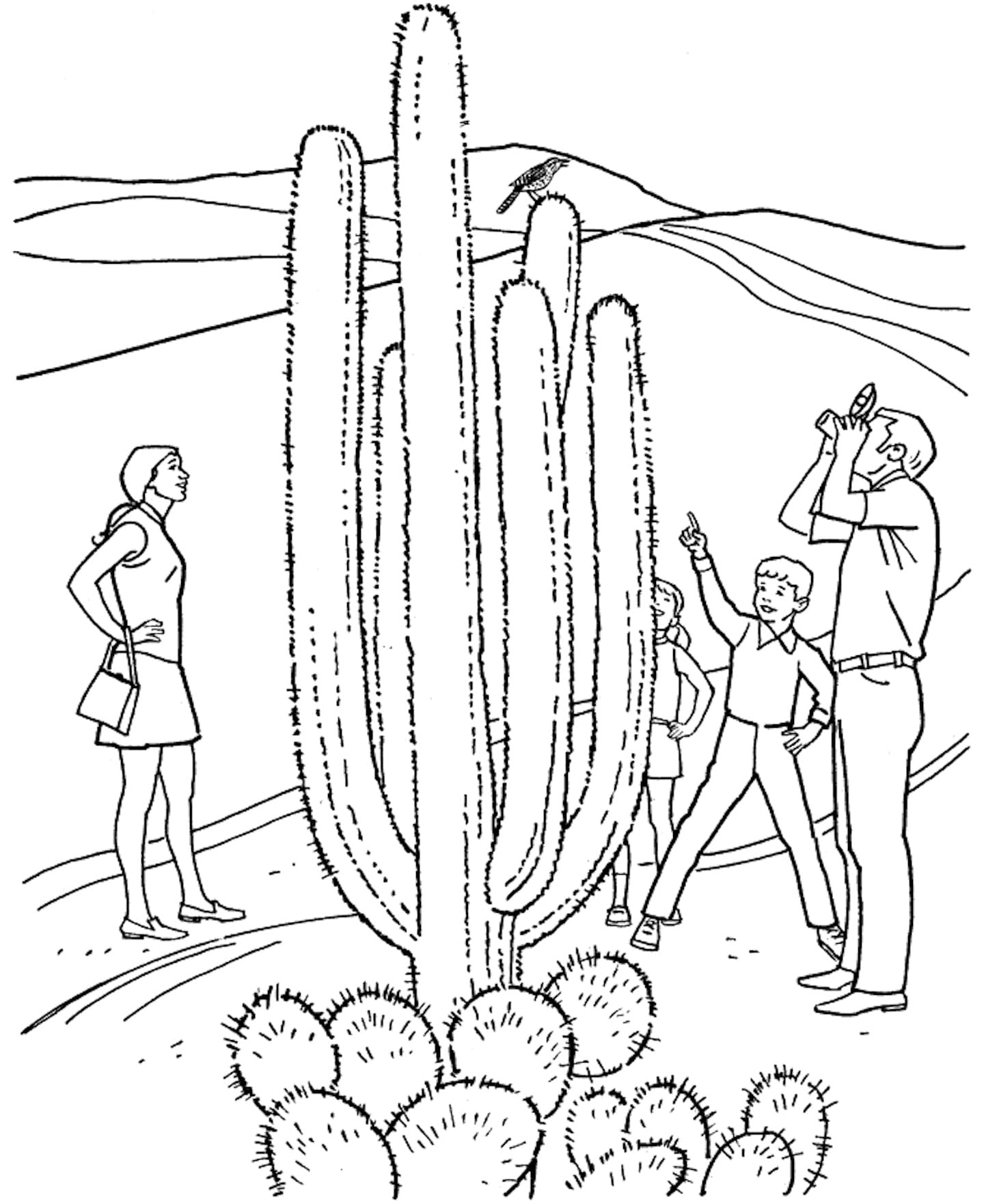 Raskrasil.com-Coloring-Pages-Desert-57
