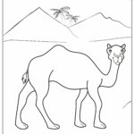 Raskrasil.com-Coloring-Pages-Desert-59