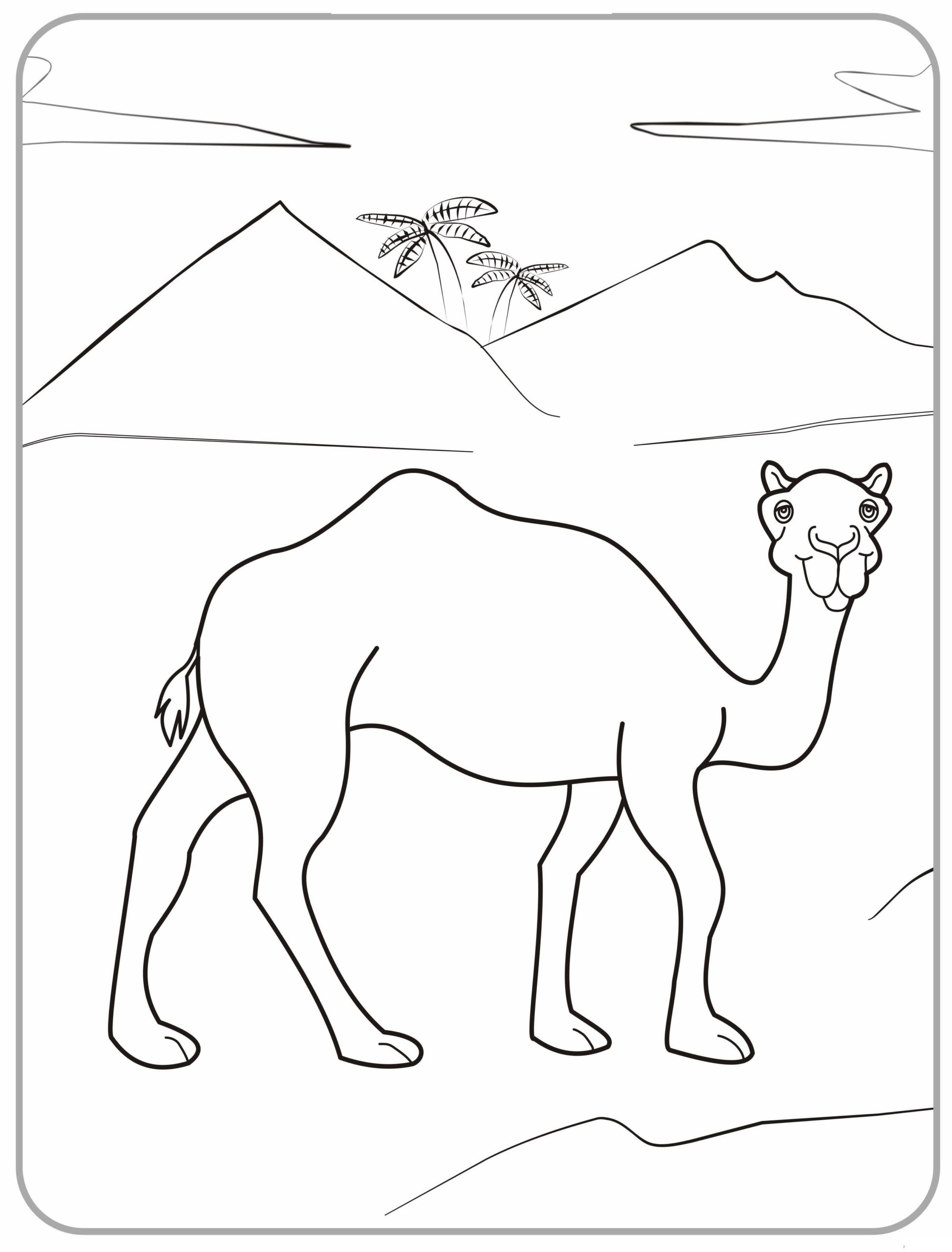 Raskrasil.com-Coloring-Pages-Desert-59