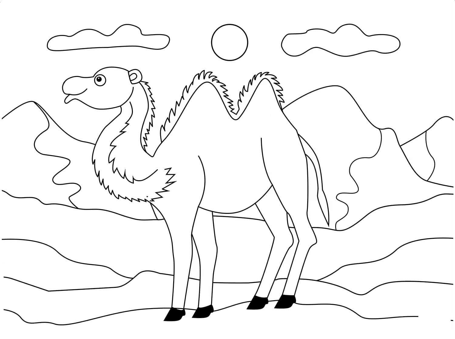 Raskrasil.com-Coloring-Pages-Desert-63