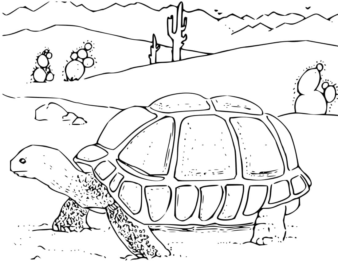 Raskrasil.com-Coloring-Pages-Desert-66