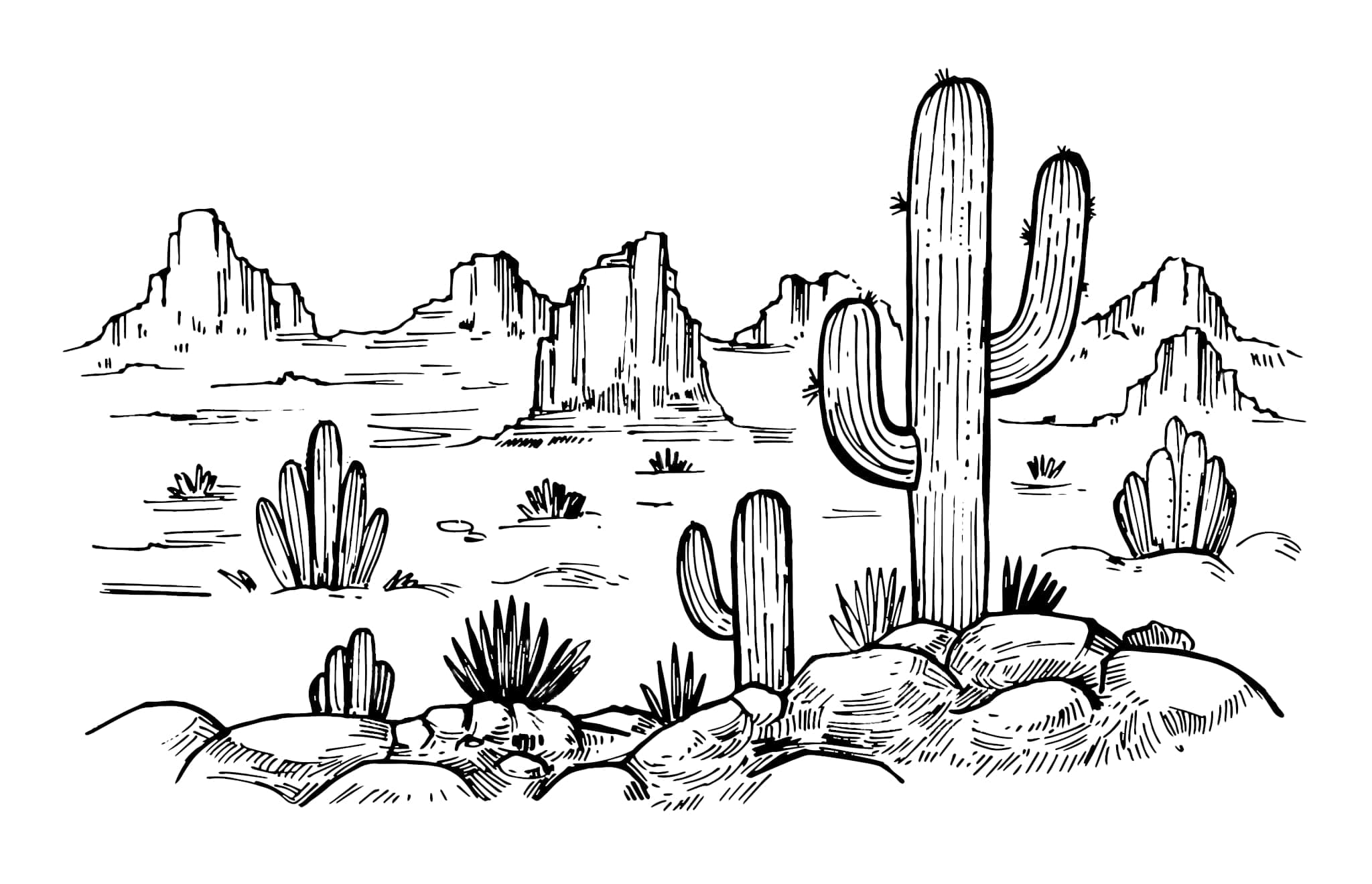 Raskrasil.com-Coloring-Pages-Desert-68