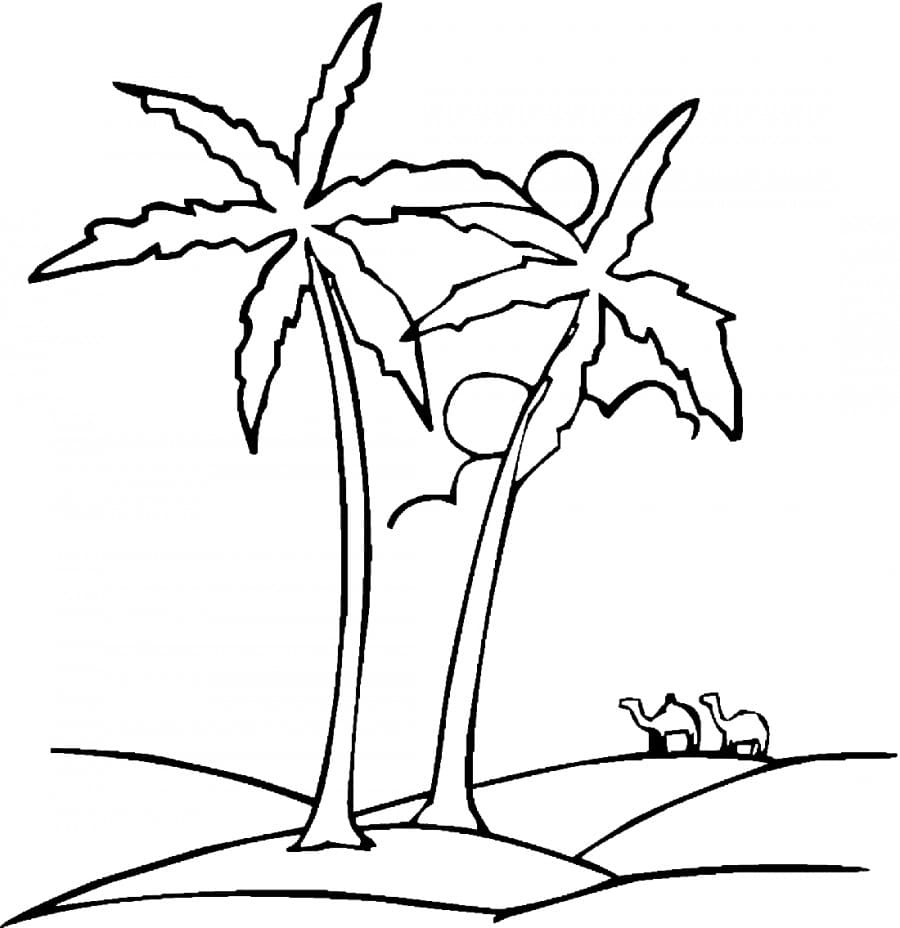 Raskrasil.com-Coloring-Pages-Desert-7