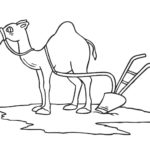 Raskrasil.com-Coloring-Pages-Desert-70