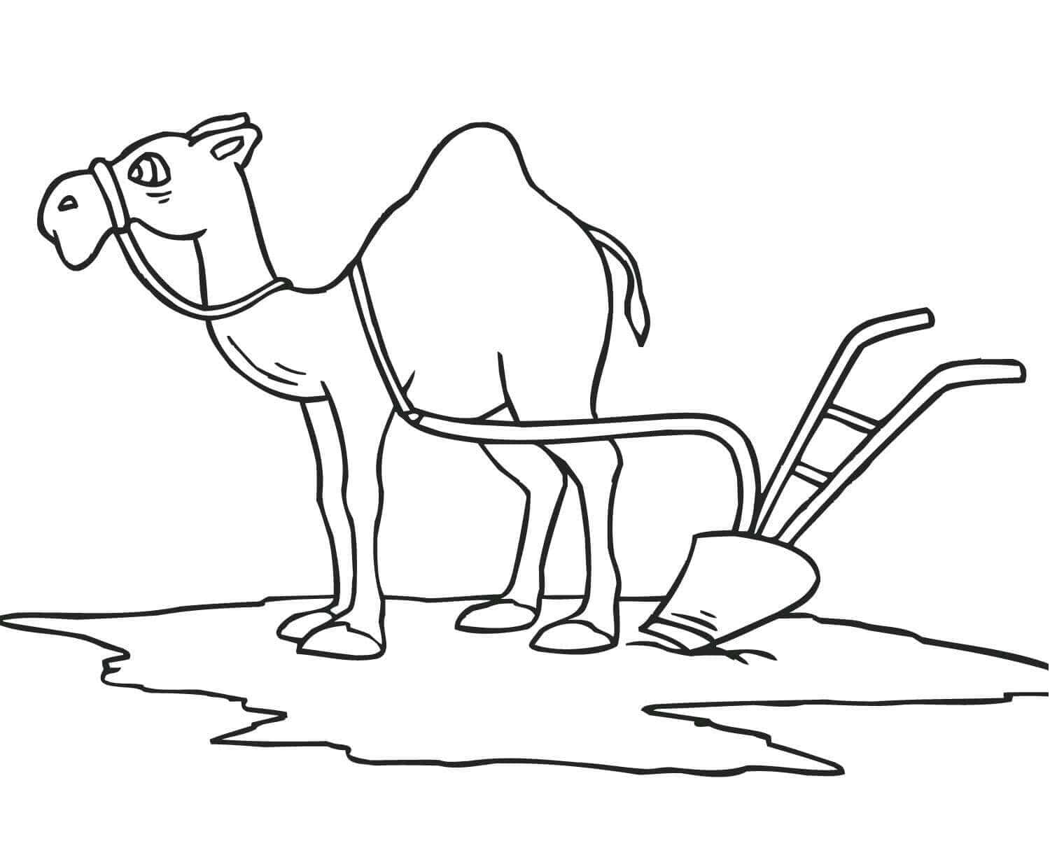 Raskrasil.com-Coloring-Pages-Desert-70
