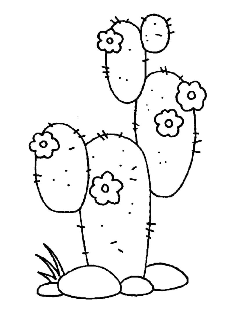 Raskrasil.com-Coloring-Pages-Desert-71