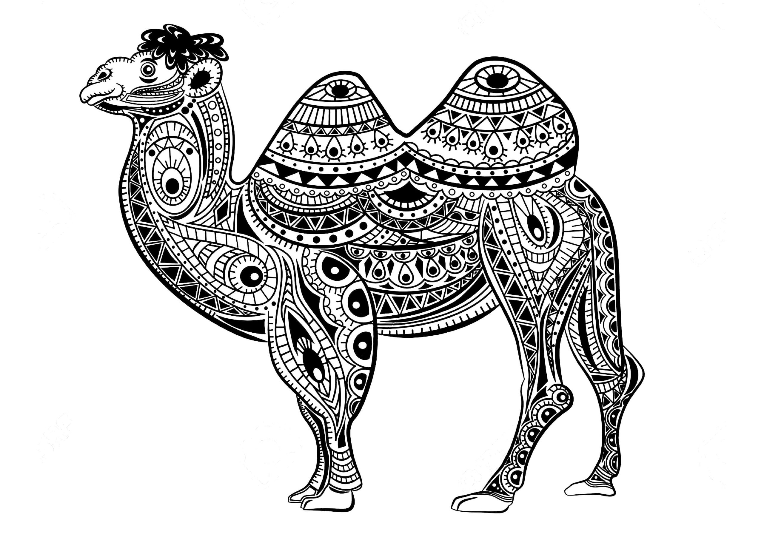 Raskrasil.com-Coloring-Pages-Desert-76