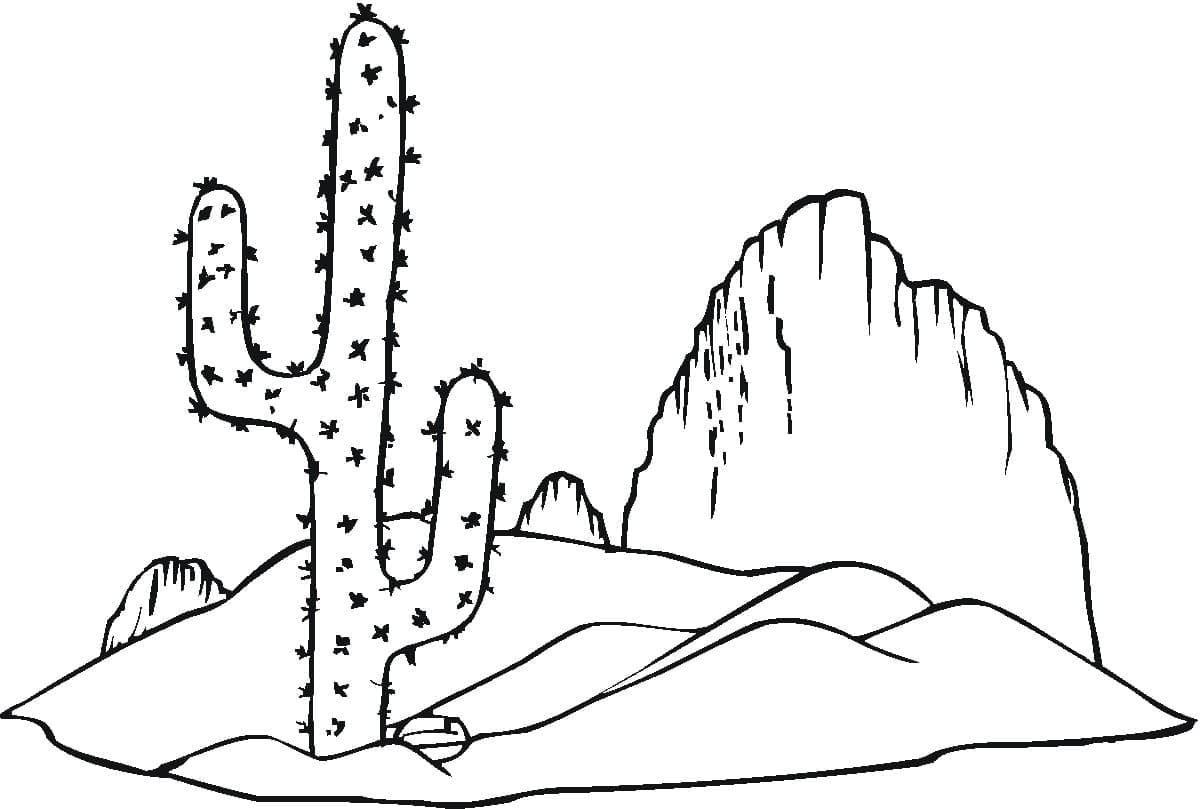 Raskrasil.com-Coloring-Pages-Desert-78