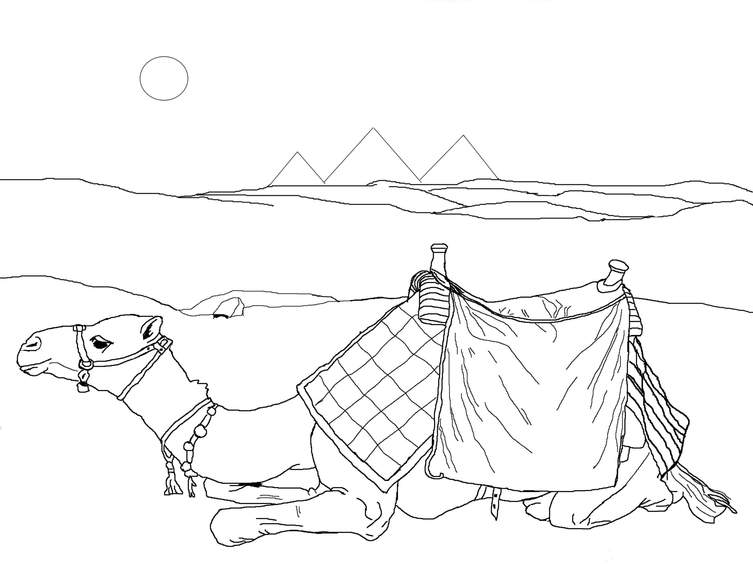Raskrasil.com-Coloring-Pages-Desert-86
