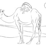 Raskrasil.com-Coloring-Pages-Desert-9