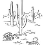 Raskrasil.com-Coloring-Pages-Desert-95