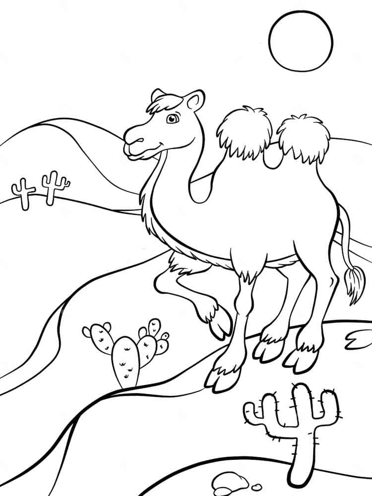 Raskrasil.com-Coloring-Pages-Desert-97
