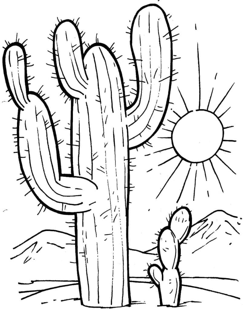 Raskrasil.com-Coloring-Pages-Desert-98