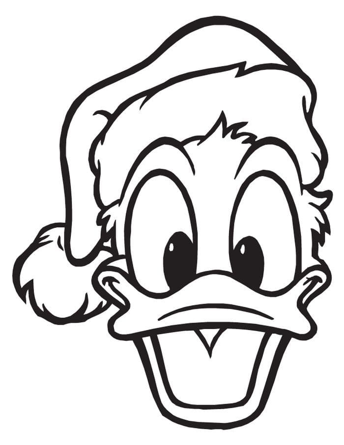 Raskrasil.com-Coloring-Pages-Donald-Duck-35