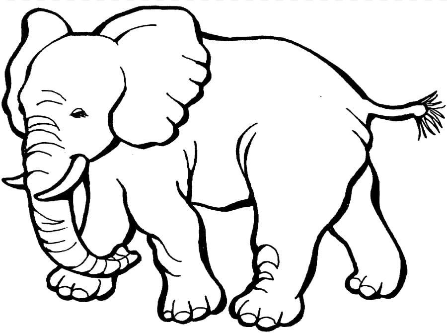  Dibujos de Elefantes para Colorear