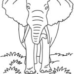 Raskrasil.com-Coloring-Pages-Elephant-105