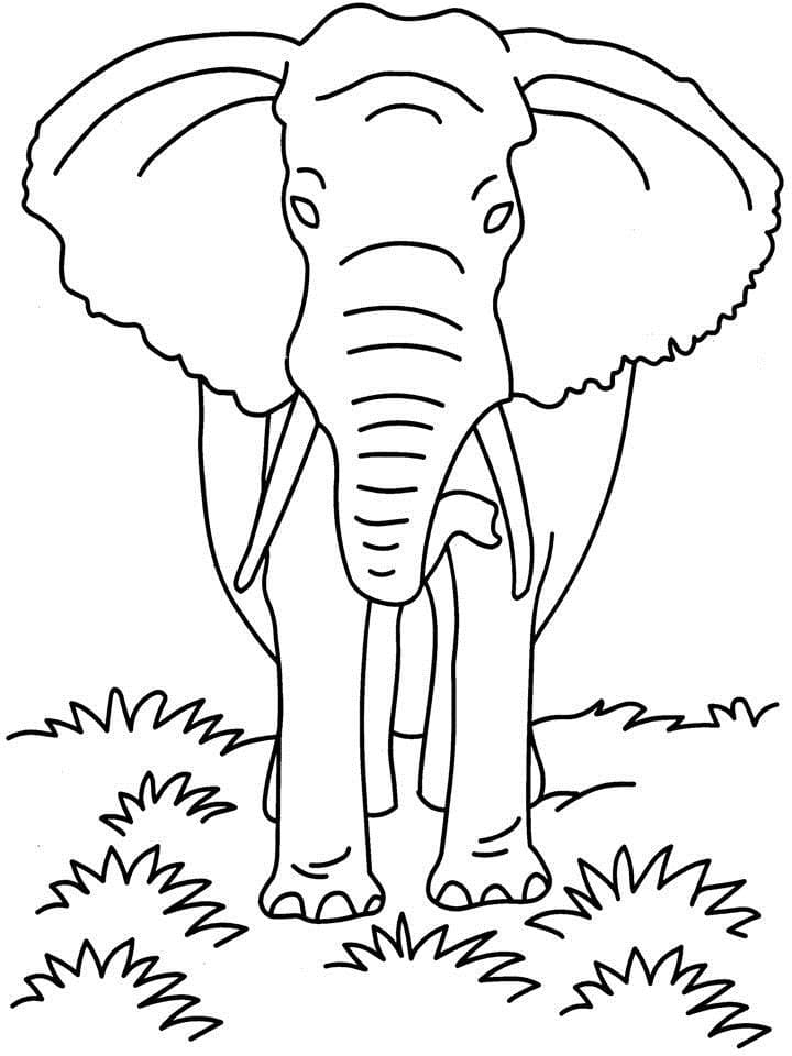 Raskrasil.com-Coloring-Pages-Elephant-105