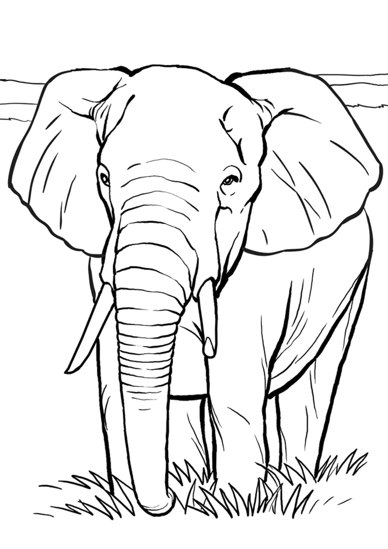 Raskrasil.com-Coloring-Pages-Elephant-19