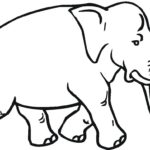 Raskrasil.com-Coloring-Pages-Elephant-2