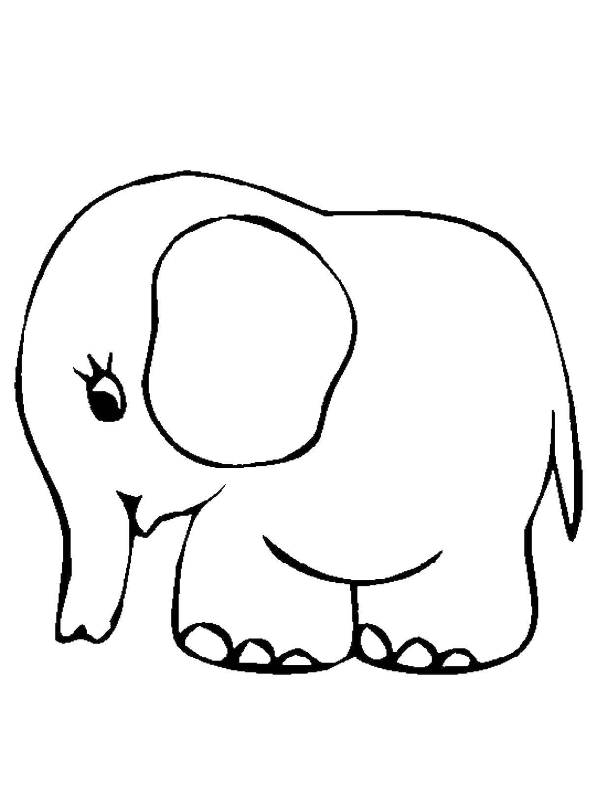 Raskrasil.com-Coloring-Pages-Elephant-31