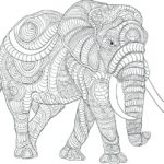 Raskrasil.com-Coloring-Pages-Elephant-33