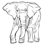 Raskrasil.com-Coloring-Pages-Elephant-49