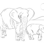 Raskrasil.com-Coloring-Pages-Elephant-59